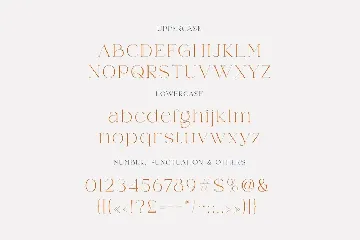 Weaser Modern Serif font