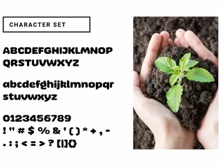 Argufy font