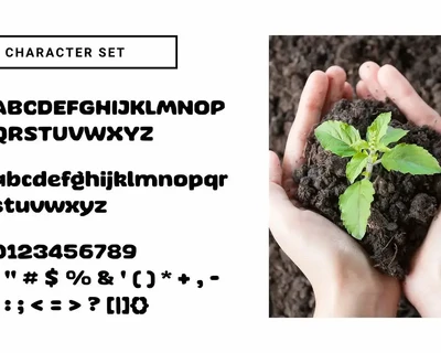 Argufy font