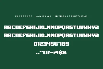 King Neprog font