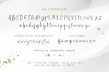 Goldbrick - Modern Stylish Script font