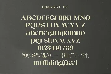 Raginy - Stylish Modern Serif font