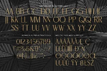 Brolachess -  Luxury Ligatures Serif font