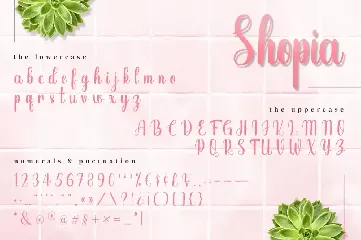 Shopia - Stylish Calligraphy Font