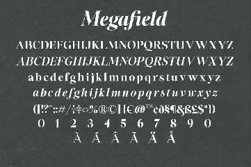 Megafield Font Family