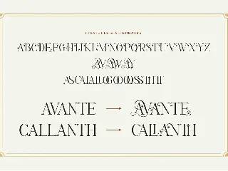 Avante - Modern Classy Font