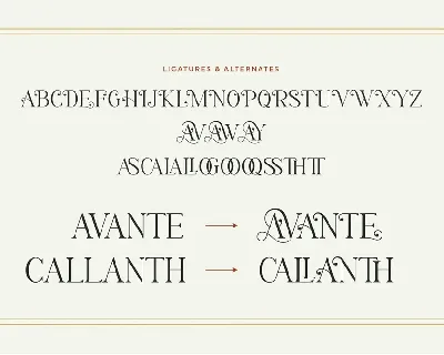 Avante - Modern Classy Font