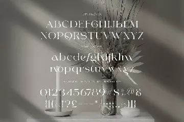 Quick Smart Modern Serif font