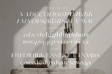 Quick Smart Modern Serif font