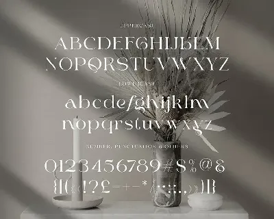 Quick Smart Modern Serif font