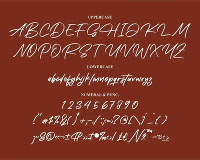 Prechley Modern Signature Font
