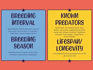 Spiny Lobster font