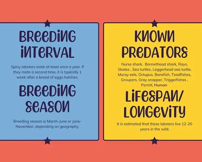 Spiny Lobster font