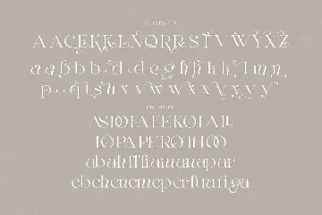 Margaret Elegant Serif font