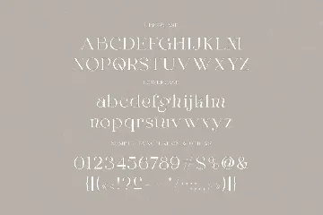 Margaret Elegant Serif font