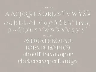 Margaret Elegant Serif font