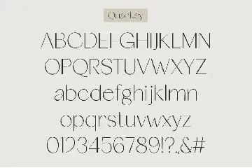 Quackey - Stylish Typeface font