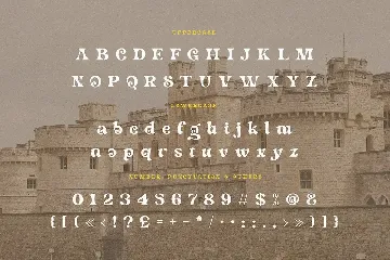 Wifelove - Groovy Retro Serif font
