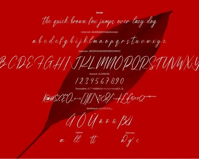 Sigtana | Signature Script Font