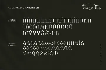 Bruelle - Serif Font