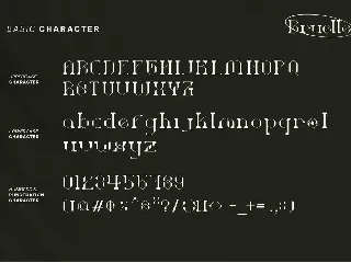 Bruelle - Serif Font