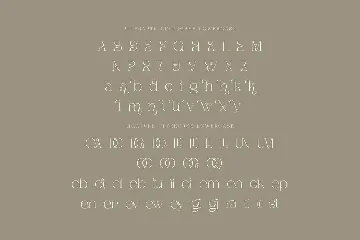 Dagstam - Artistic Serif Font