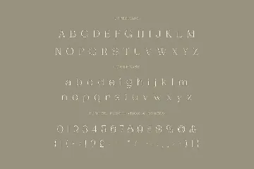 Dagstam - Artistic Serif Font