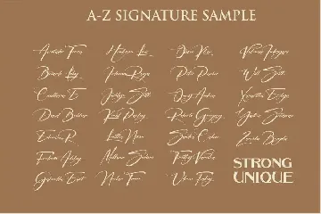 Signatrue font