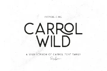 Carrol Wild - Modern Sans font