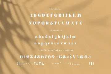 Brenham - Trendy Serif Font