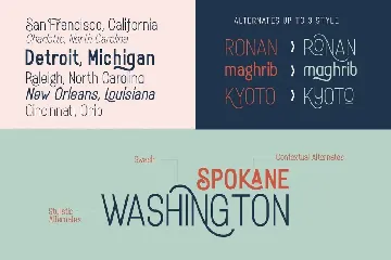 Rotrude Sans (16 FONTS)