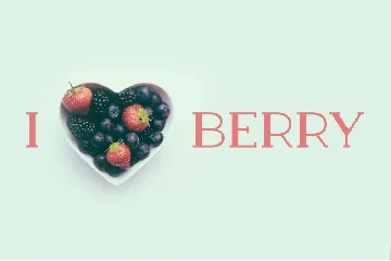 Berry Slab Serif Font