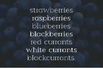 Berry Slab Serif Font