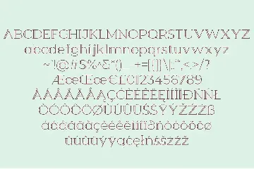 Berry Slab Serif Font