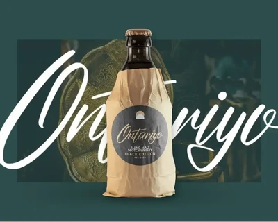 Quinttonio | Modern Script Font
