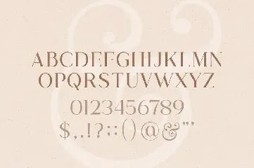 Wild & Folk Font