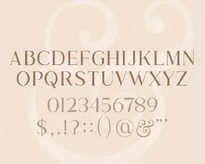 Wild & Folk Font