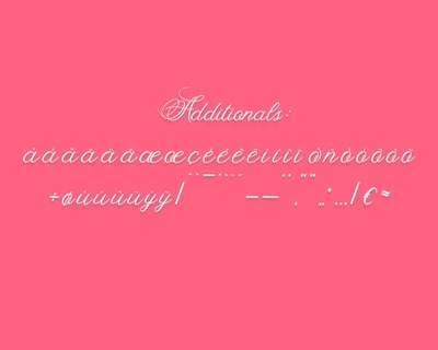Fancy Script Font
