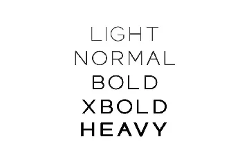 SIGNAL - Modern Display / Headline Typeface font