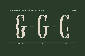 Gresida Eye Catching Font