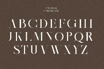 Twister Decorative Serif font