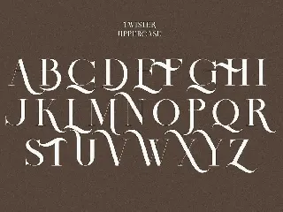 Twister Decorative Serif font