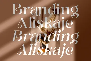 Branding Aliskaje Modern Serif Font