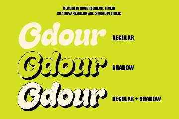 Gladolia -  Retro Modern Font