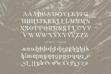 Debrian Decorative Serif font