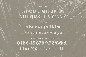 Debrian Decorative Serif font