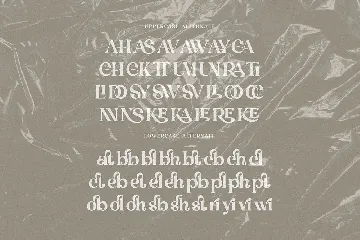 Debrian Decorative Serif font