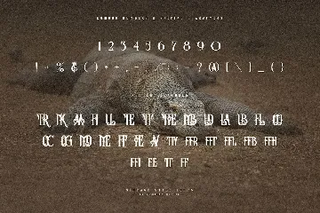 Komodo Decoative Font