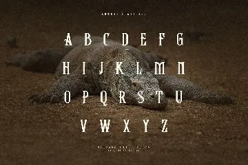 Komodo Decoative Font