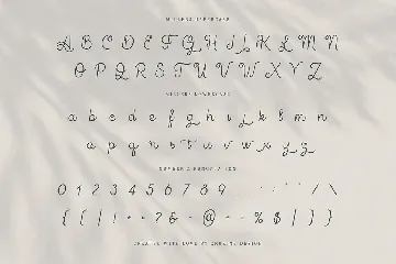 Millers Retro Monoline Script font
